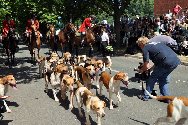 Schuetzenausmarsch 2009   149.jpg